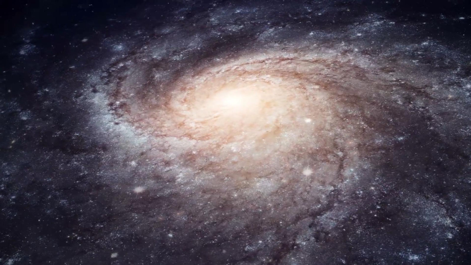 「VESSEL」（人器）MV